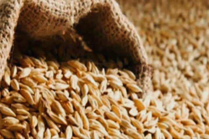 بحران جو در ایران؛ کاهش تولید تا ۵۰ درصد و جهش قیمت به ۲۵ هزار تومان