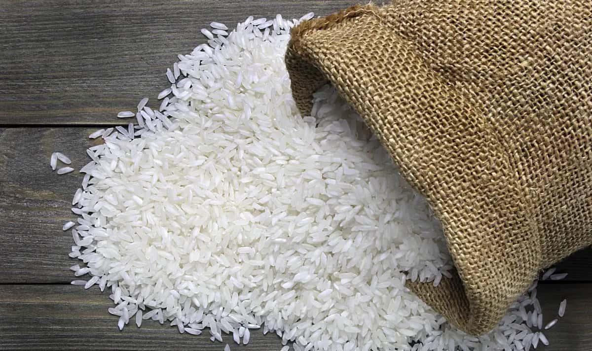 قیمت برنج ایرانی ۱۴۰۴؛ چرا نرخ‌ها تا ۳۲۰ هزار تومان بالا رفت؟