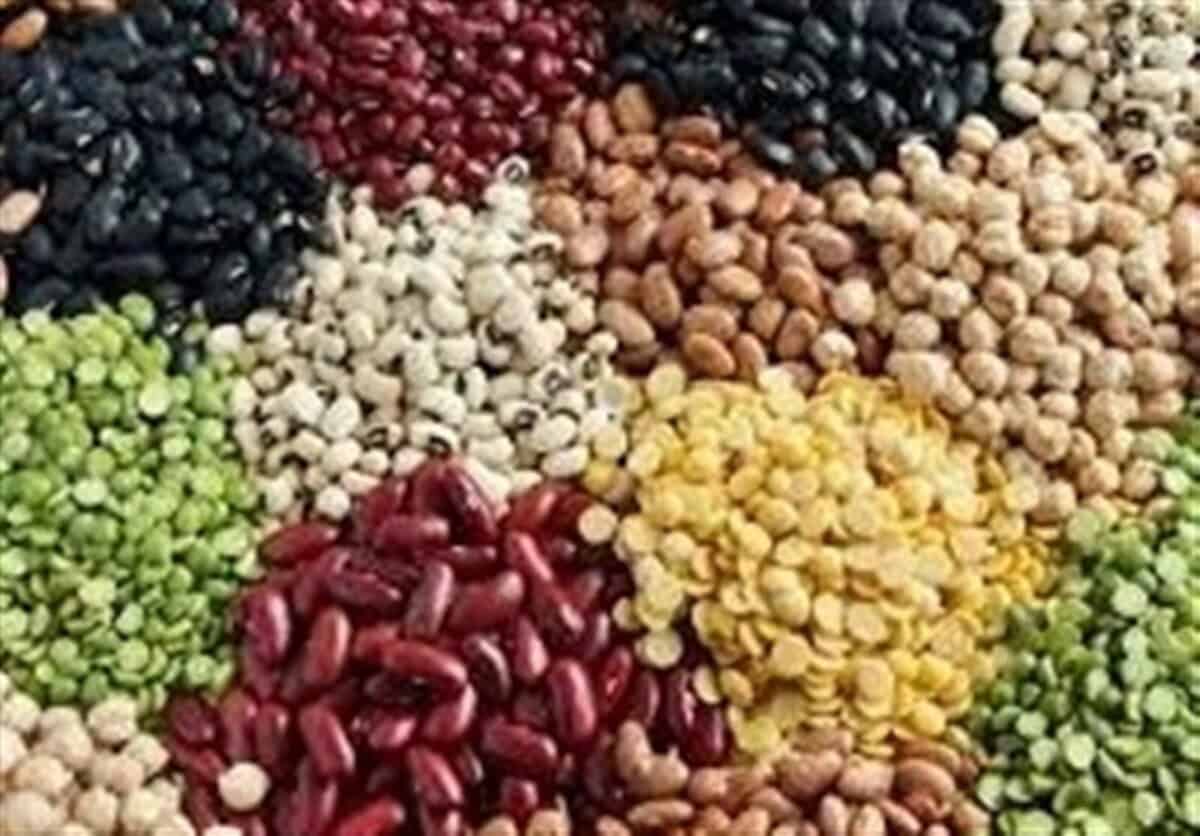 علت گرانی حبوبات در ایران؛ حذف ارز ترجیحی و اولویت واردات روغن پالم