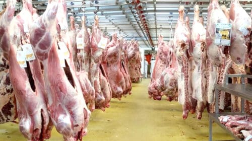 بازار گوشت ایران را در آستانه جهش قیمت قرار داد