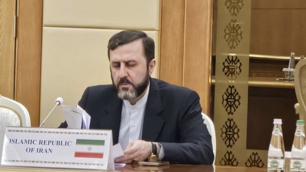 توضیحات معاون عراقچی درباره فرآیند فعال‌سازی اسنپ‌بک