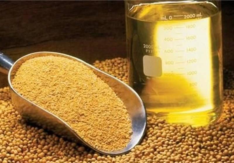 اعلام سقف جدید قیمت غلات و روغن خام توسط سرپرست تازه‌منصوب معاونت بازرگانی