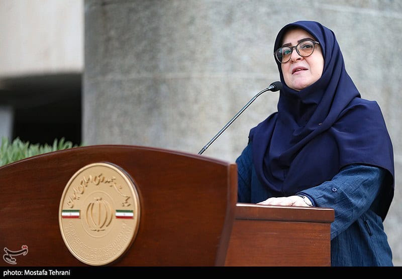 مهاجرانی: برنامه دولت در خصوص مکانیسم ماشه به‌زودی تصویب خواهد شد