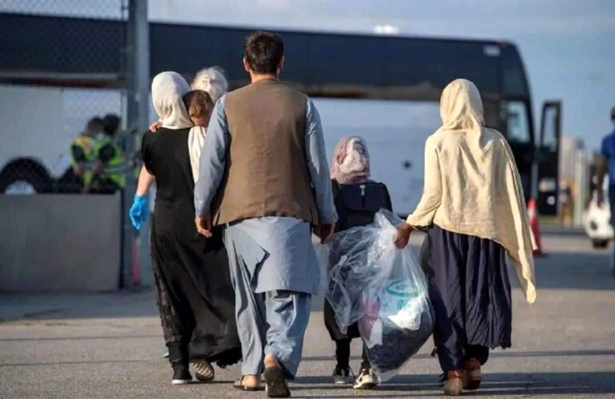 افزایش ازدواج اتباع در ایران؛ ۸۰ هزار وصلت و تغییر قوانین برای فرزندان مشترک