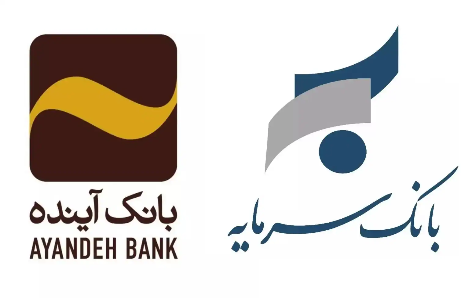 زنگ خطر در نظام بانکی / بانک سرمایه در مسیر آینده؟