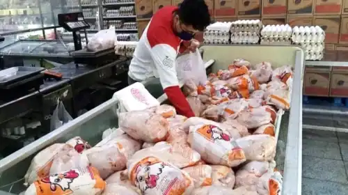 راز ثبات بازار مرغ؛ چرا «نهاده دامی» کلید اصلی تنظیم قیمت است؟