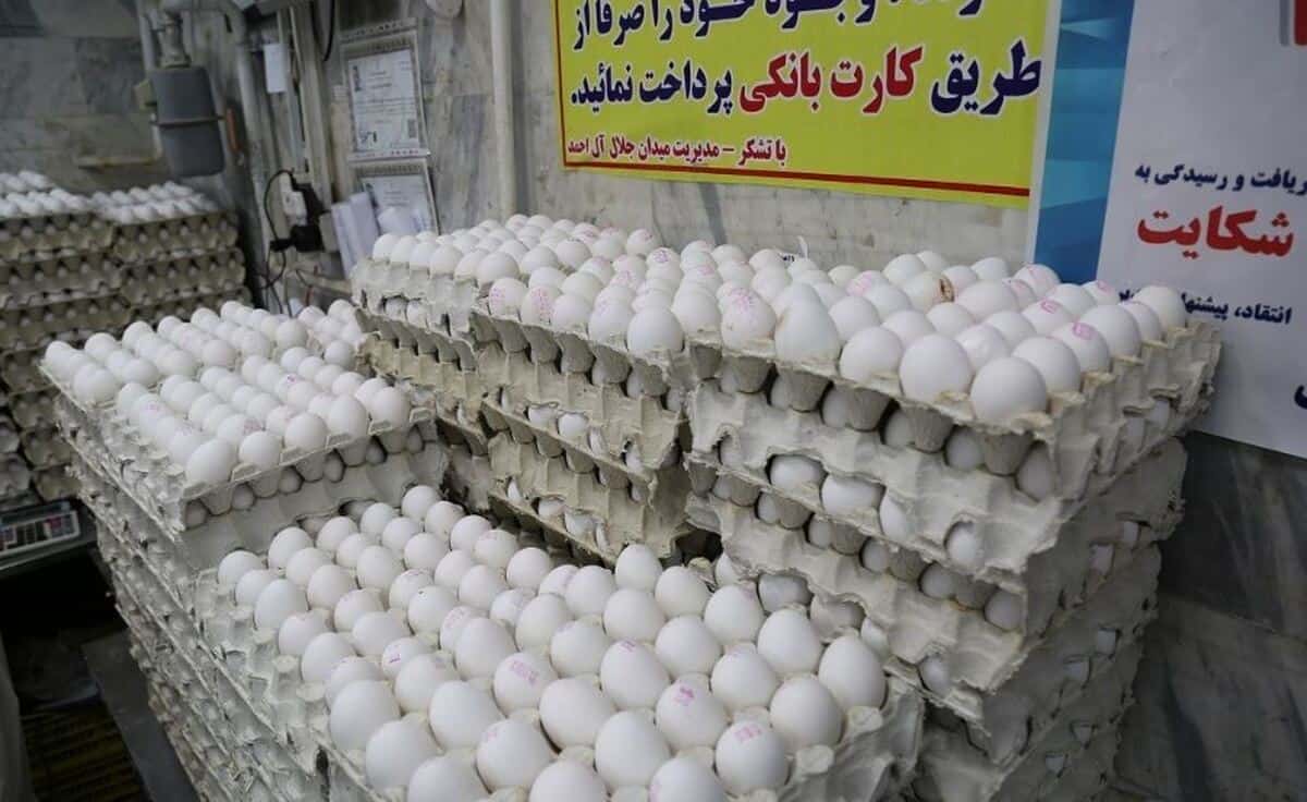قیمت تخم مرغ افسار پاره کرد/ دانه‌ای ۸ هزار تومان؛ افزایش همچنان ادامه دارد؟