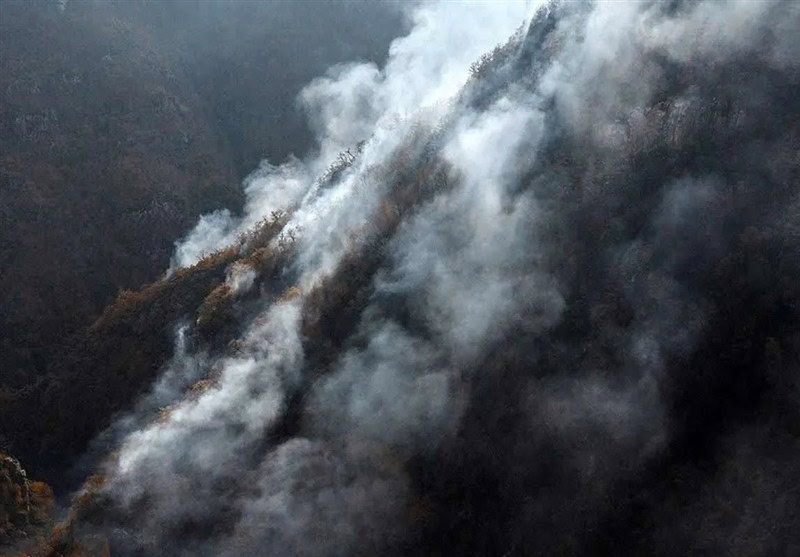مرحله تازه در مهار آتش‌سوزی الیت؛ عملیات هوایی گسترده وارد مدار نهایی شد