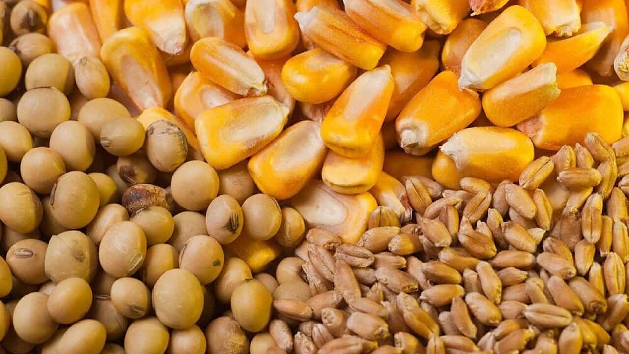 مجوز واردات ۵.۵ میلیون تن نهاده دامی صادر شد
