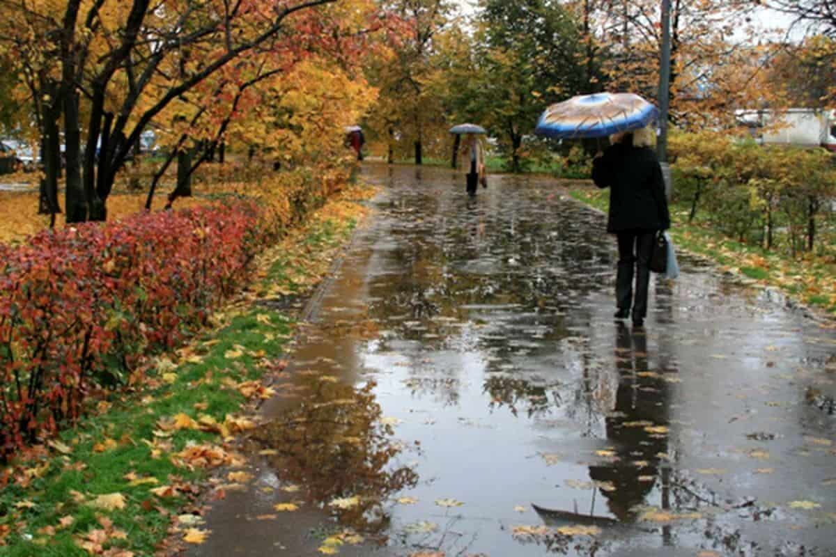 ۱۹ استان در انتظار اولین باران پاییزی