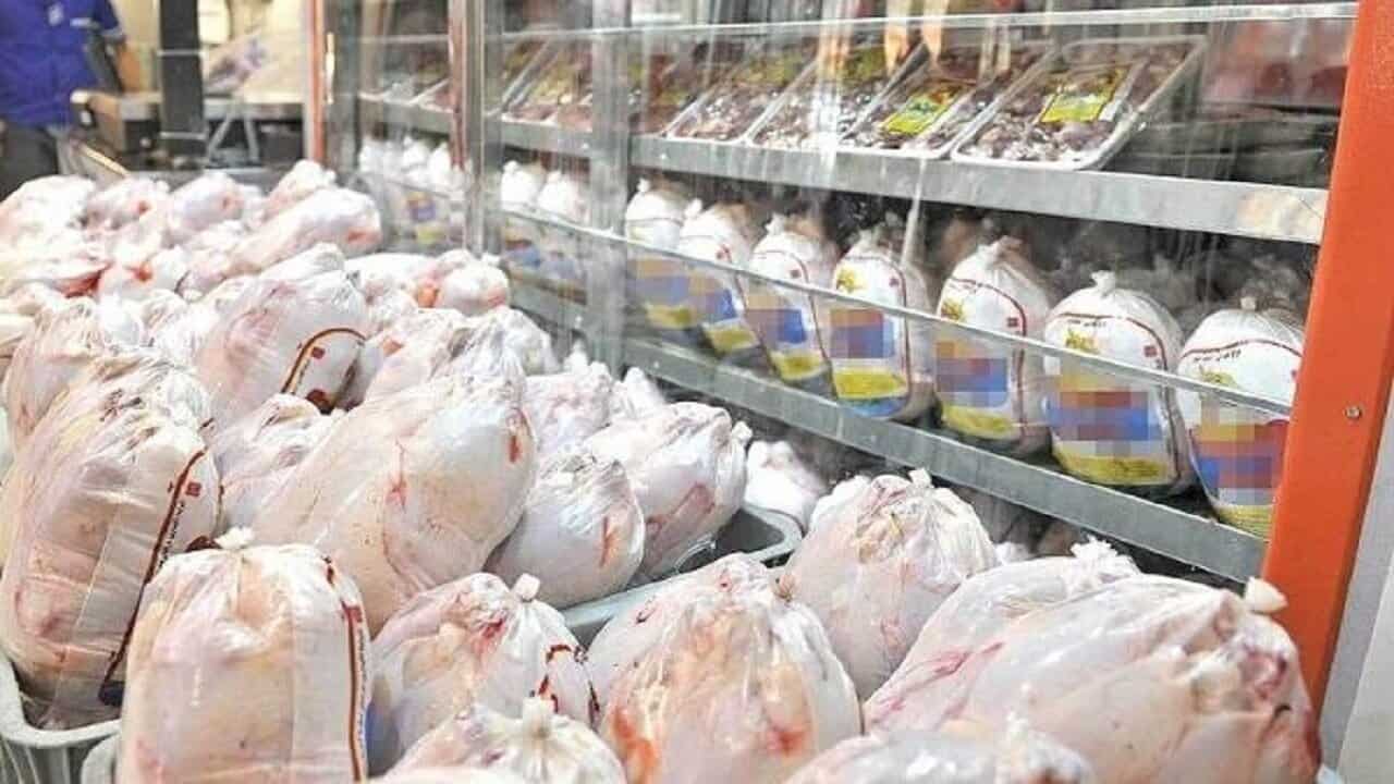 گرانی مرغ از کجاست؟ چرا قیمت مصوب در بازار اجرا نمی‌شود