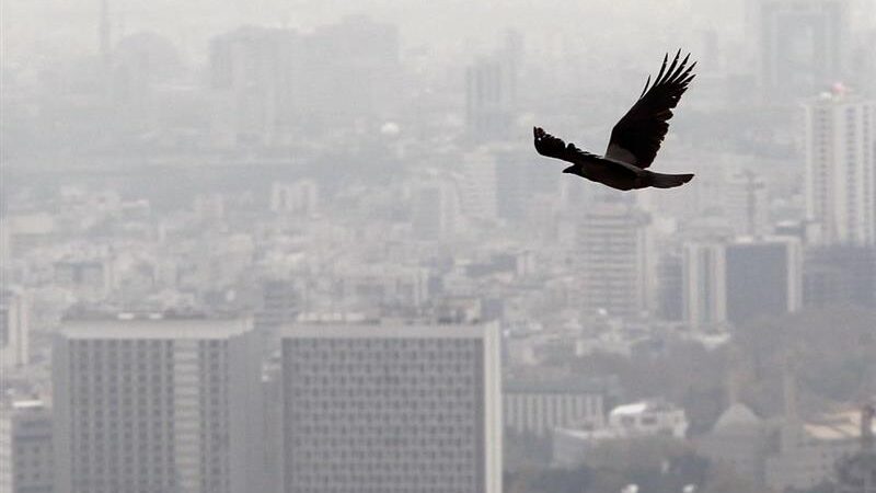 سقوط آزاد ساخت‌وساز در ایران؛ آمار رسمی از عمیق‌تر شدن رکود مسکن خبر می‌دهد