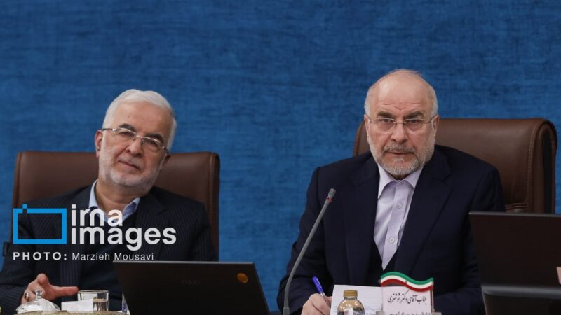 قالیباف: مخالف دخالت نمایندگان در انتصابات هستم/ ضرورت دور شدن شوراها از موضوعات سیاسی
