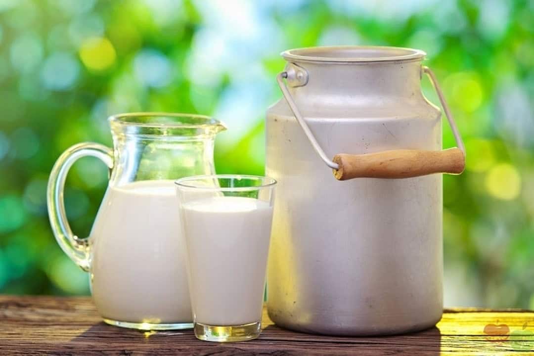 قیمت شیر خام نهایی شد؛ جزئیات توافق برای عرضه محصولات شب یلدا با نرخ مناسب