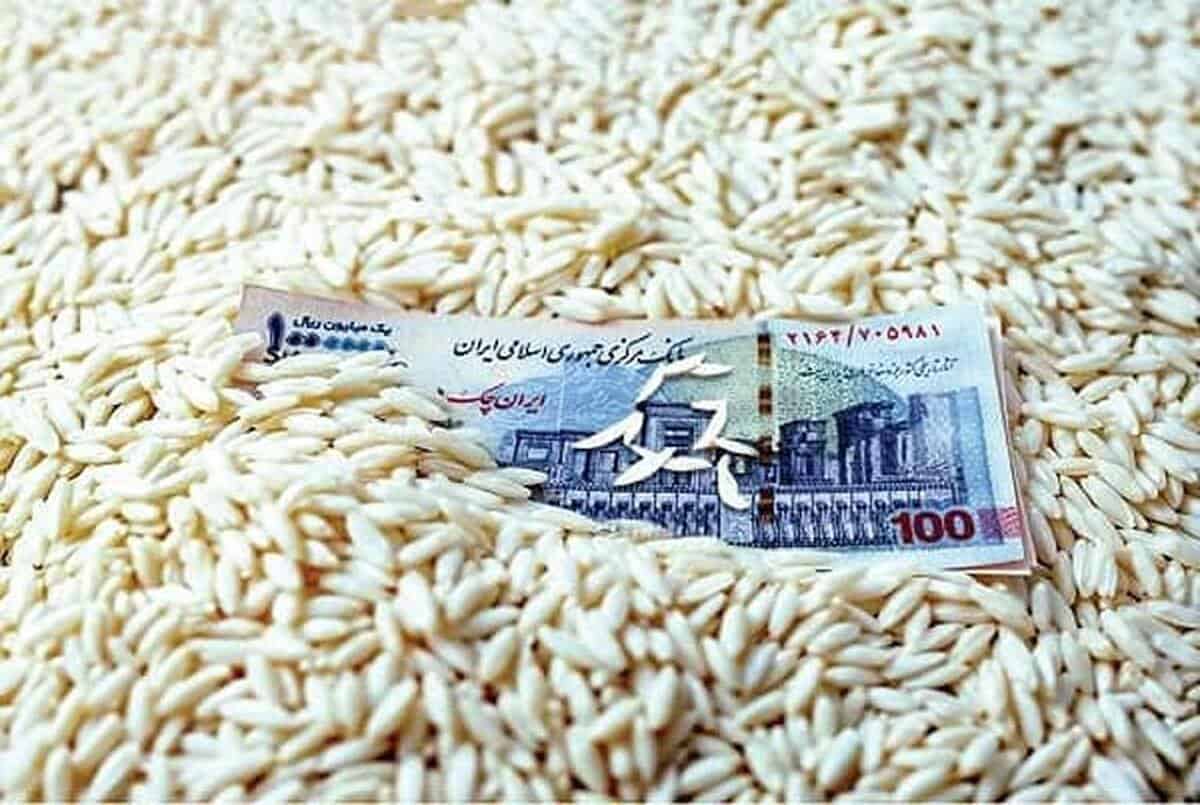 حذف ارز ترجیحی برنج؛ بازار در آستانه افزایش محدود قیمت‌ها