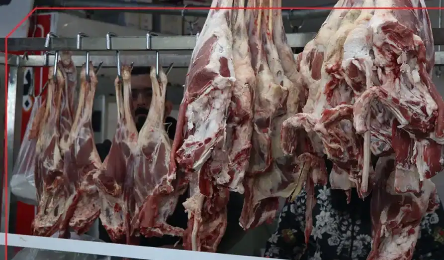 قیمت گوشت قرمز امروز ۱۶ آذر ۱۴۰۴؛ ثبات در بازار پس از افزایش‌های اخیر
