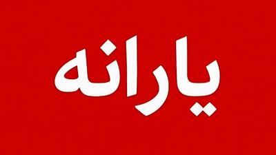 سه یارانه جدید در بودجه ۱۴۰۵؛ دولت مسیر پرداخت‌ها را عوض کرد