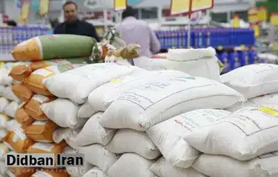 قیمت برنج هندی و پاکستانی جهش کرد/نرخ‌های تازه بعد از حذف ارز ترجیحی اعلام شد
