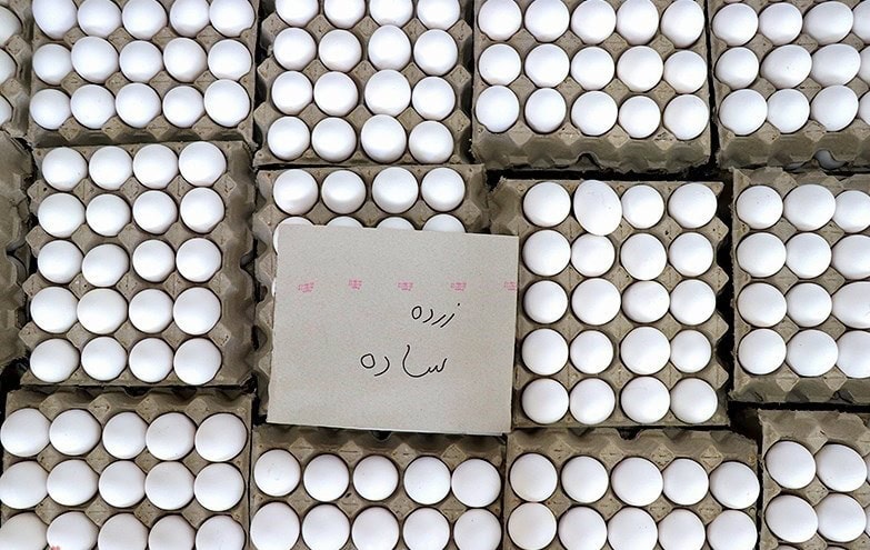 هر شانه تخم‌مرغ 30 عددی 370هزار تومان شد