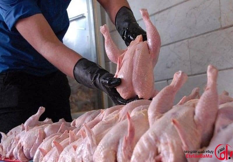 آغاز روند کاهشی قیمت مرغ، تخم‌مرغ و شیر در بازار