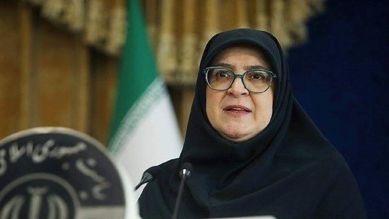 مهاجرانی: رویکرد دولت اینترنت آزاد است اما امنیت اولویت دارد