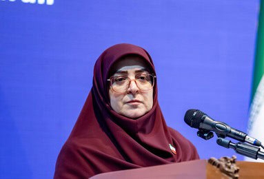 مهاجرانی: بسته حمایت از تولیدکنندگان در دولت تصویب شد