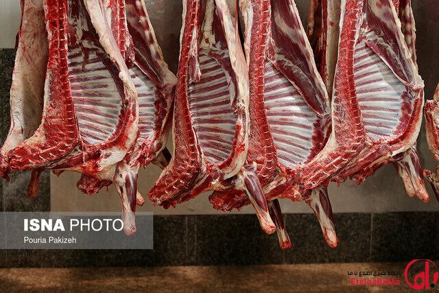 قیمت واقعی گوشت در بازار گم شده است