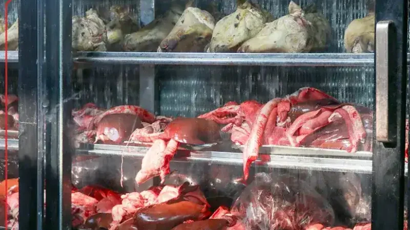 قیمت گوشت قرمز امروز ۱۸ دی ۱۴۰۴؛ بازار در آرامش قبل از موج گرانی؟