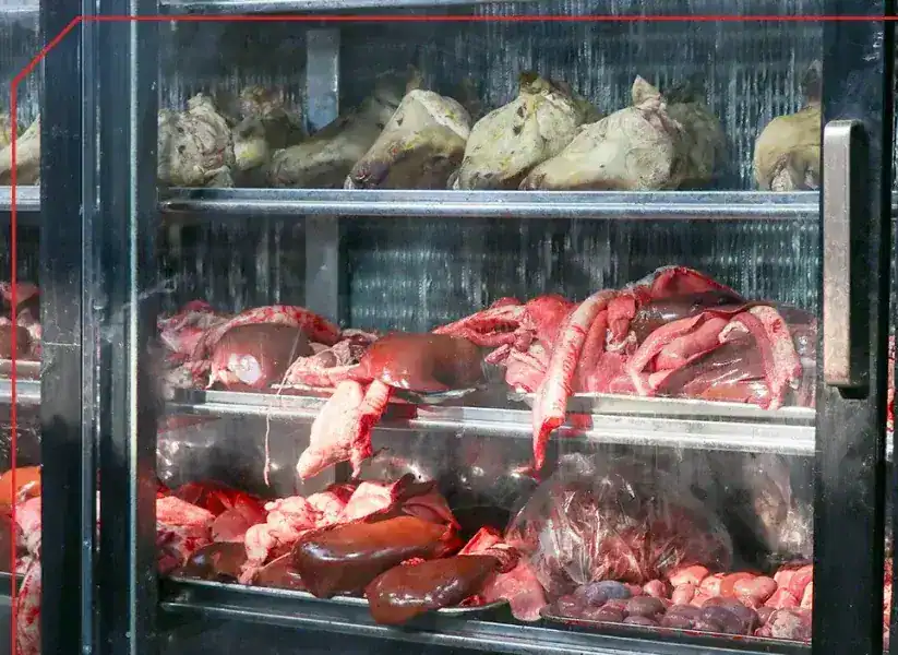 قیمت گوشت قرمز امروز ۱۸ دی ۱۴۰۴؛ بازار در آرامش قبل از موج گرانی؟