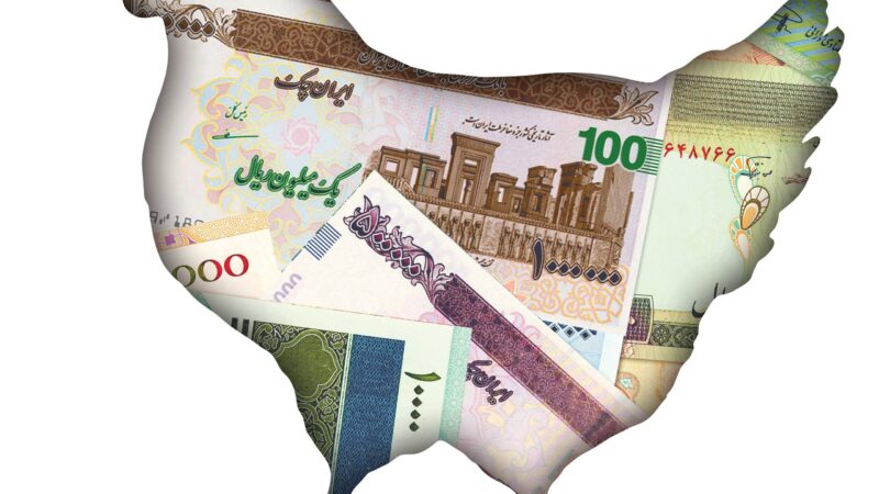 افزایش قیمت مرغ در راه است؛ هر کیلو مرغ به ۲۳۶ هزار تومان می‌رسد؟