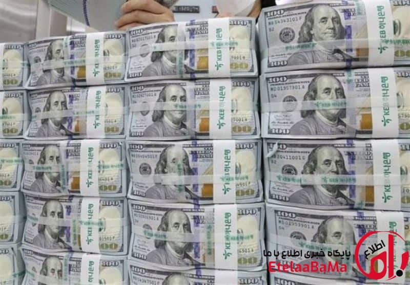 رئیس کل اسبق بانک مرکزی: این 5 عامل نرخ ارز را در ایران کنترل می‌کند!