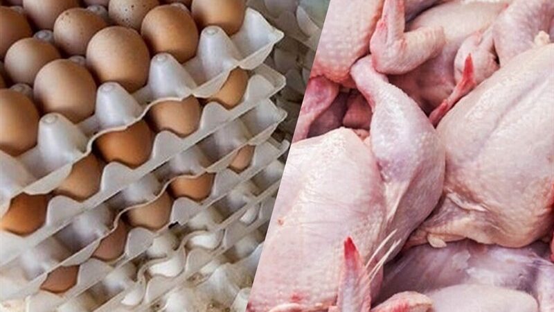 جزئیات کاهش قیمت مرغ، تخم مرغ و گوشت قرمز