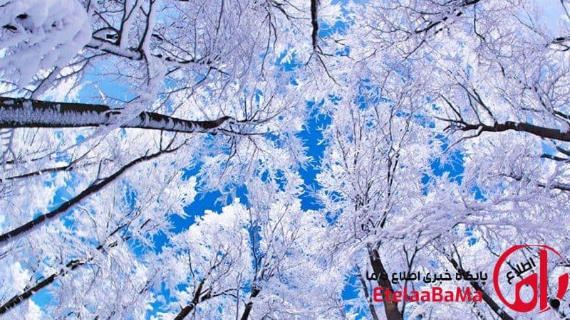 اعلام زمان ورود سامانه بارشی جدید به کشور /بارش برف و باران در ۱۹ استان