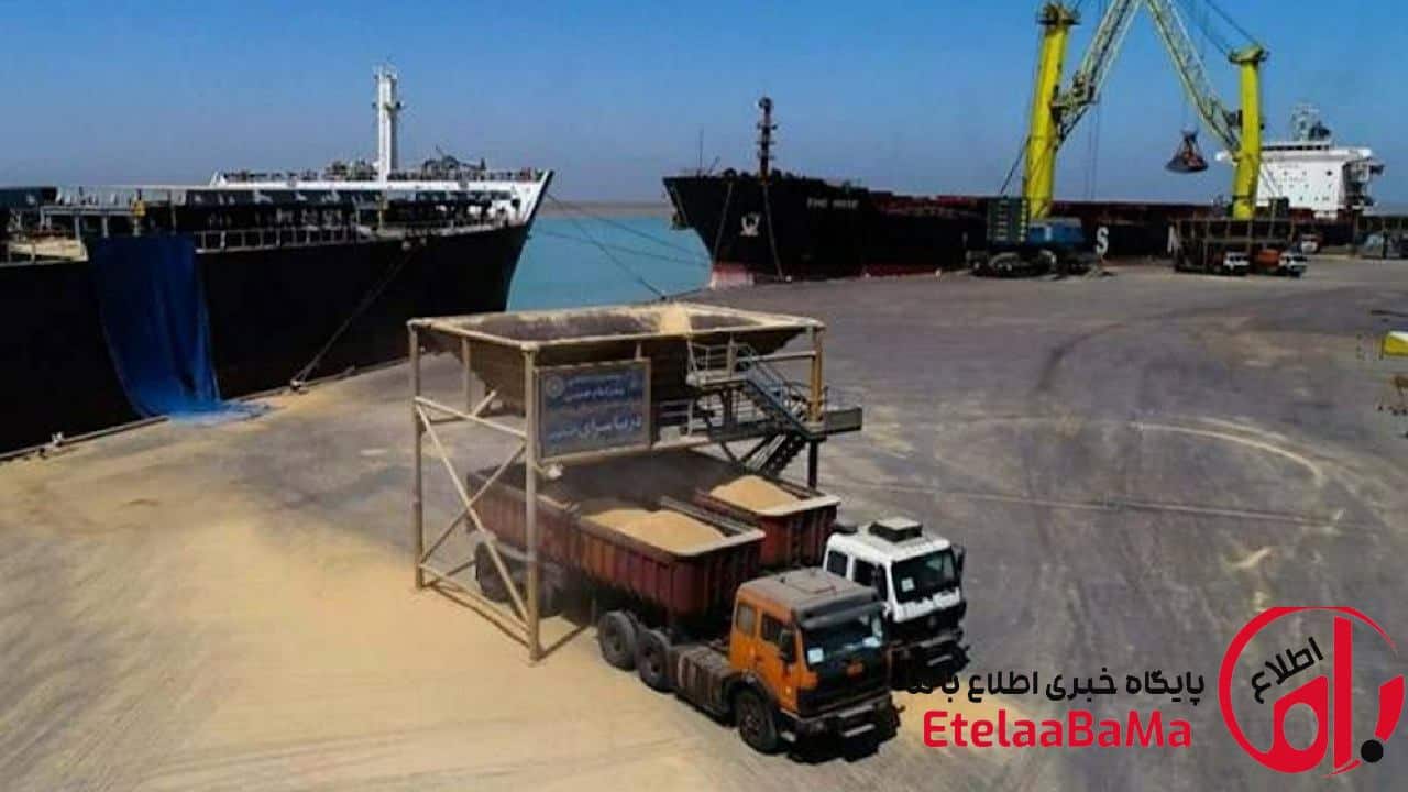 تصمیم تازه وزارت جهاد کشاورزی؛ آزادسازی صادرات تخم‌مرغ و باز شدن مسیر سودآوری صنایع غذایی