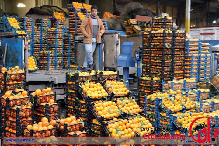 قیمت میوه و سبزیجات تهران؛ هفته منتهی به ۲۷ بهمن ۱۴۰۴