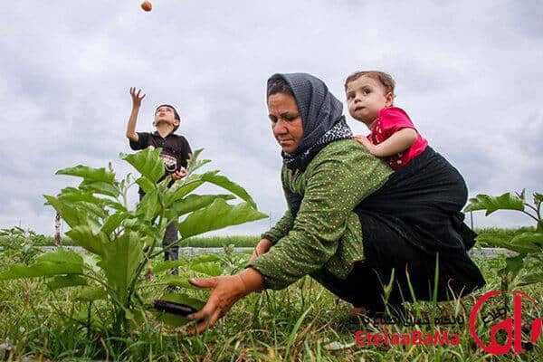 حمایت بیمه‌ای از مادران روستایی | اجرای قانون جوانی جمعیت