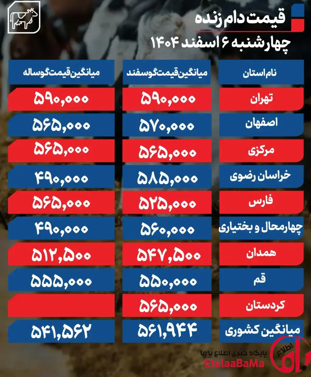 قیمت دام زنده