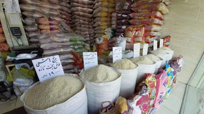 حذف برنج از سفره‌های ایرانی/ کاهش ۱۰ کیلویی سرانه مصرف برنج طی ۴سال