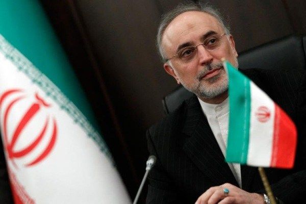 علی‌اکبر صالحی: تغییر «عنوان» مذاکره می تواند راه شکستن بن بست باشد