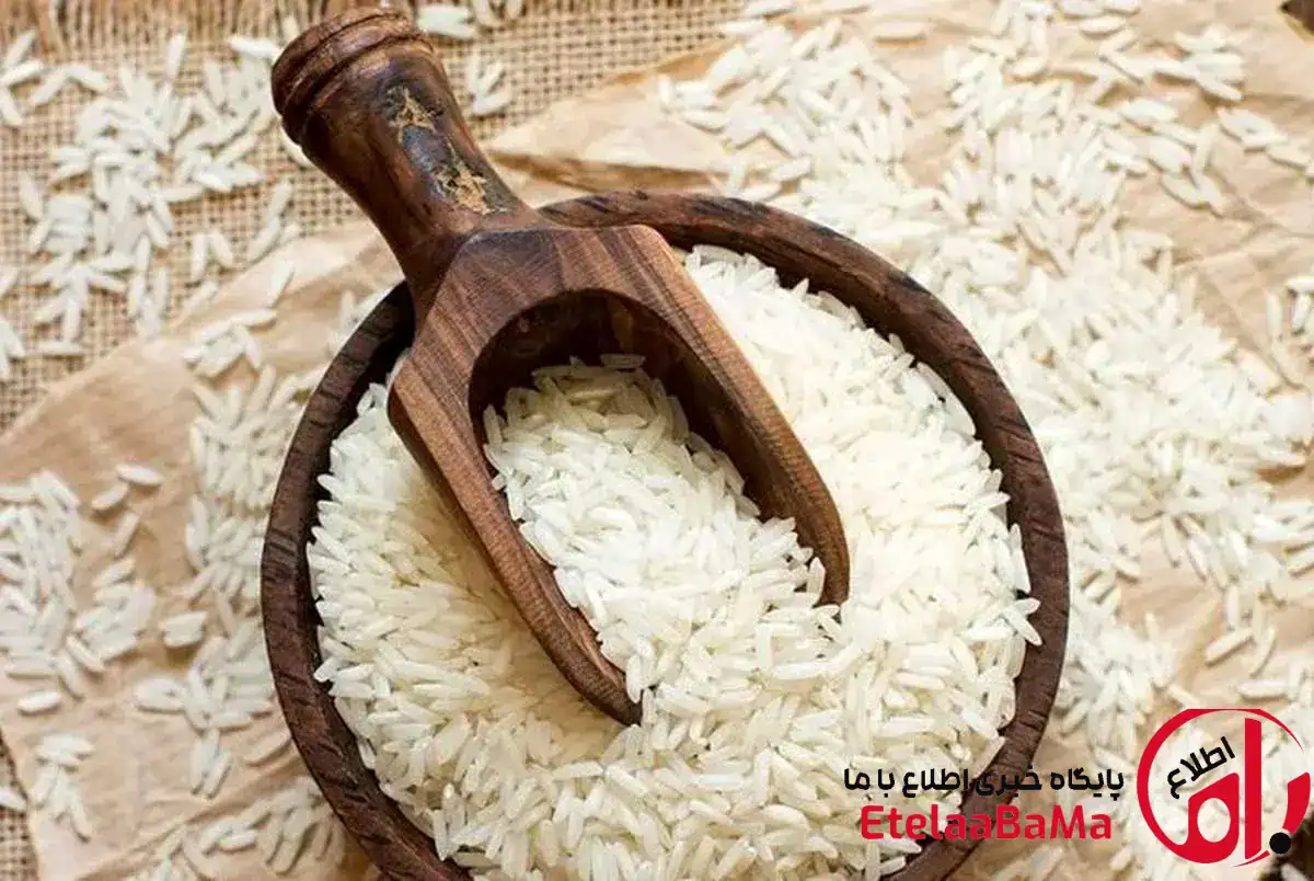 قیمت تمام‌شده برنج ۳۰ هزار تومان فقط هزینه گمرکی!/بحران نقدینگی و مطالبات ۱۷ ماهه ارزی