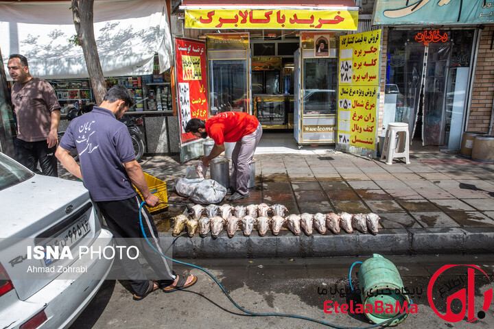 ثبت‌نام ۵۰ هزار نفر از صاحبان کسب و کار برای دریافت وام جنگ