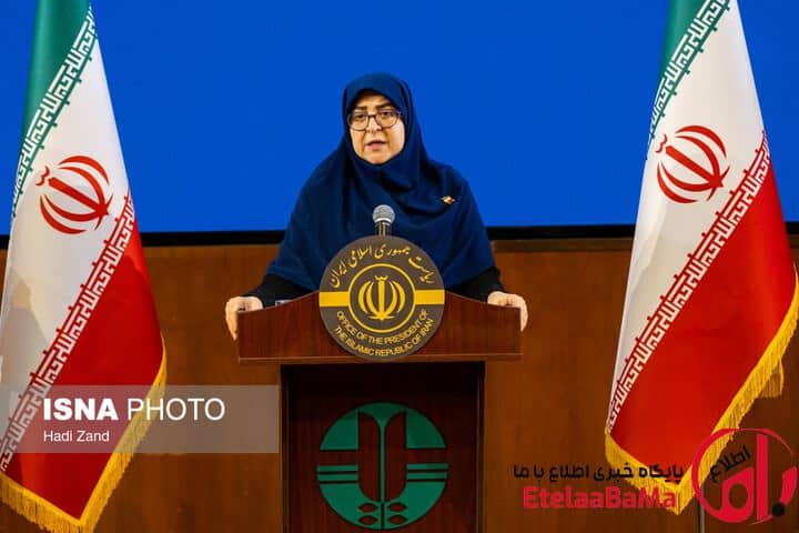 سخنگوی دولت: هیچ نگرانی درباره ذخایر مرغ کشور وجود ندارد