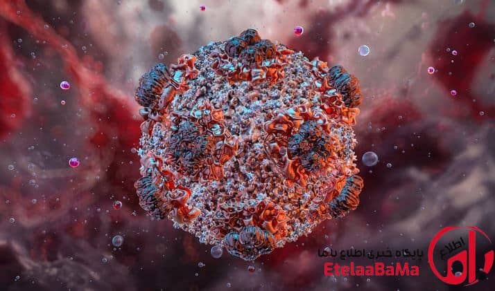 هانتا ویروس؛ از بررسی آمارهای جهانی تا تظاهرات بالینی و درمان
