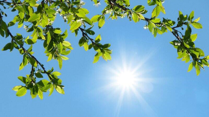 آسمان صاف در اکثر مناطق کشور