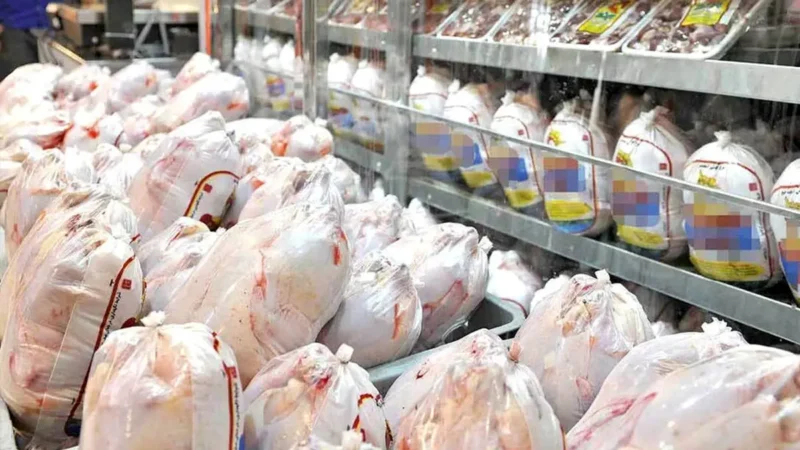چرا قیمت مرغ کاهش یافت؟ نقش گرمای هوا و عرضه زودهنگام مرغ‌ها در افت قیمت‌ها