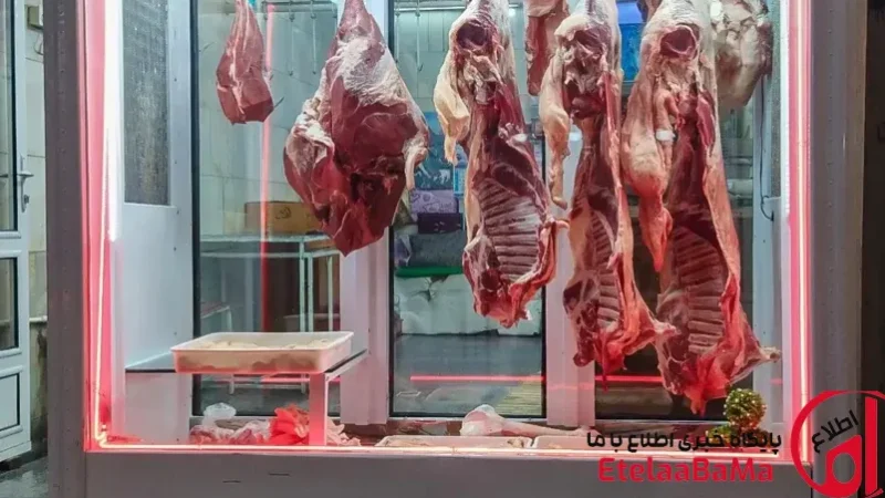 قیمت گوشت قرمز امروز ۱۷ خرداد ۱۴۰۵/ثبات کامل گوسفند و گوساله، خبری از جهش نیست