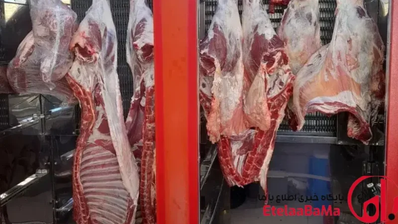 قیمت گوشت قرمز امروز ۱۹ خرداد ۱۴۰۵ | ثبات کامل گوسفند و گوساله، خبری از جهش نیست