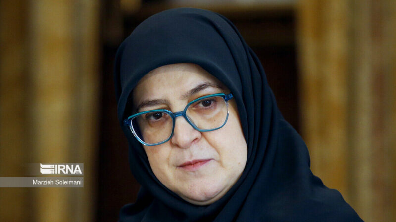 سخنگوی دولت: جنوب ایران، قلب تپنده این سرزمین است