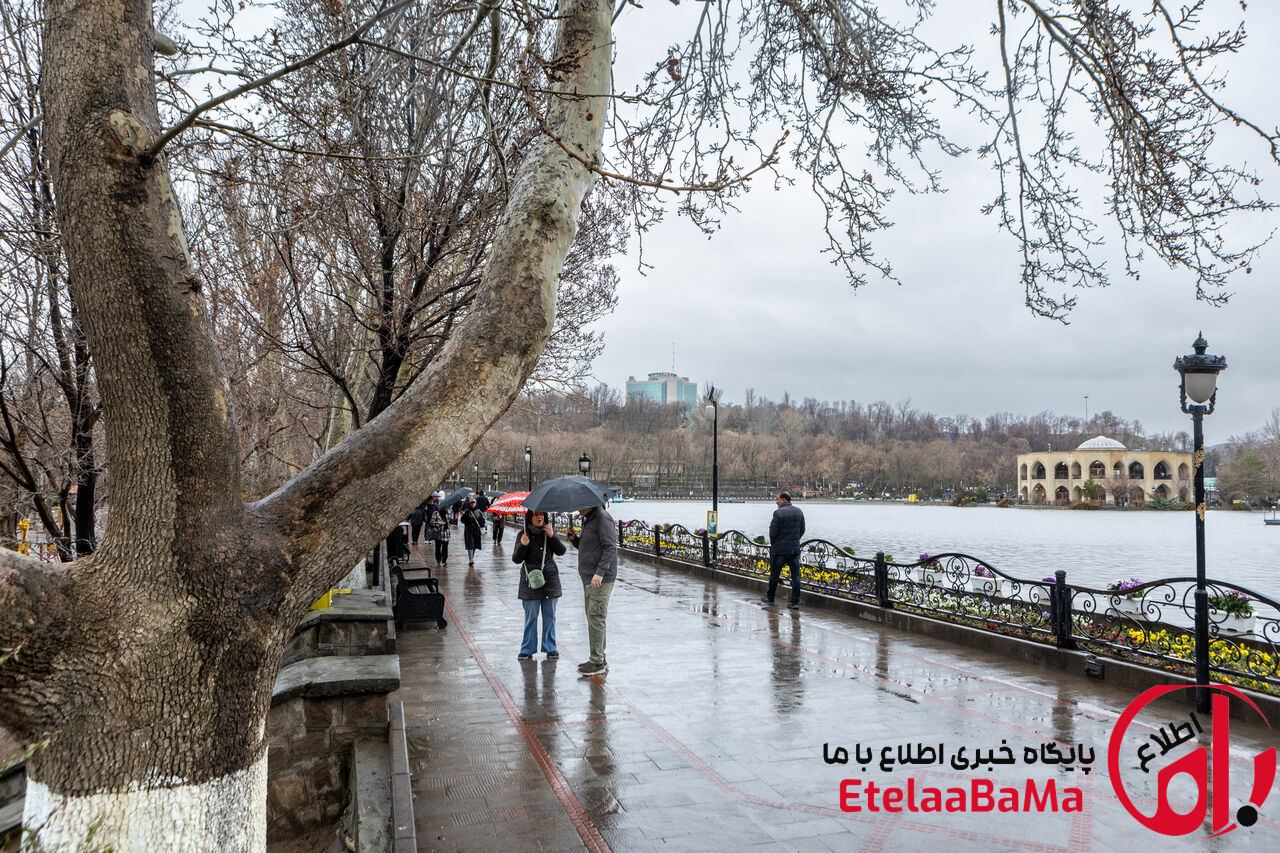 رگبار و رعدوبرق در شمال و جنوب/ وزش باد شدید