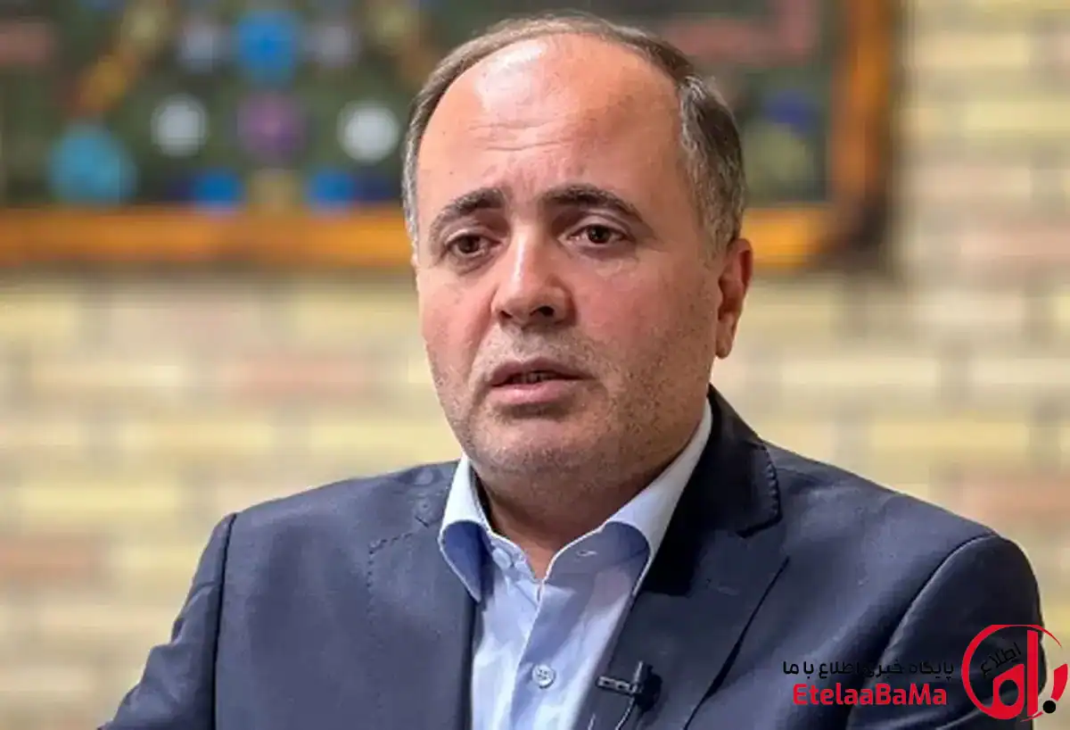قیمت مرغ بازار، ارزان‌تر از نرخ تعادلی است/صادرات گوشت مرغ آغاز می‌شود